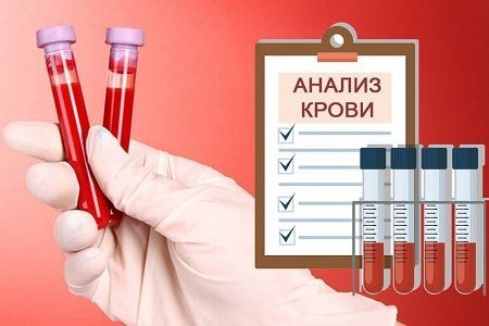 Комплексный анализ крови на трихологический профиль: что входит и что показывает анализ